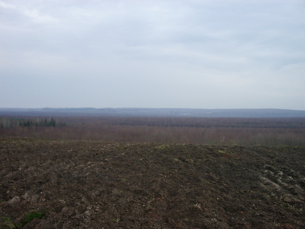 IMGP3402