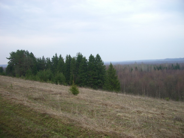 IMGP3406