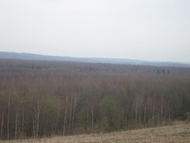 IMGP3407